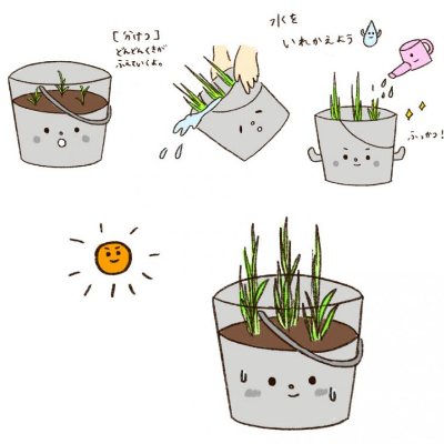 分けつ、水温調節のイラスト